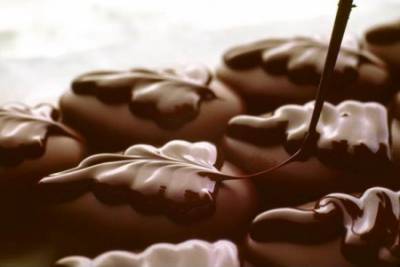 Ученые рассказали, зачем нужно есть шоколад каждый день