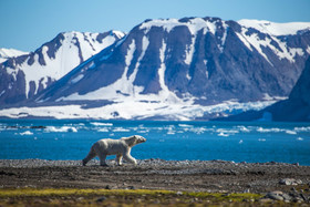 изменение климат арктика