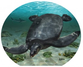черепаха Leviathanochelys aenigmatica