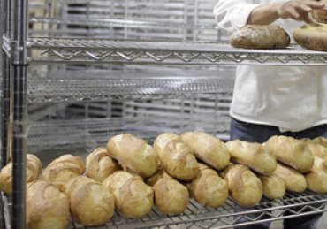 Микроволновая установка убивает споры плесени