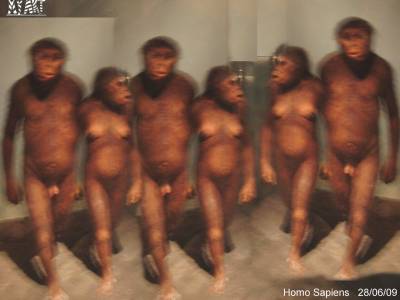 Homo sapiens “облысел” 2 млн. лет назад
