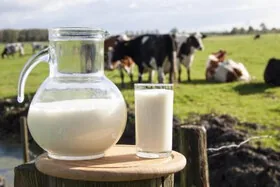 В Ізраїлі запускають повністю штучний “тваринний” продукт – молоко від неіснуючої корови