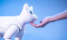 На производство домашнего робота-кота на Kickstarter успешно стартовала кампания по сбору средств. ВИДЕО