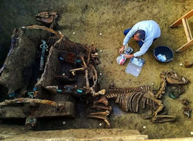 Античну колісницю зі скелетами коней відкопали археологи