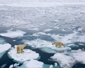 Швидкість танення світових льодовиків збільшилась вдвічі за останні 20 років – дослідження, глобальна повінь