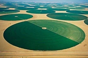 Мышьяк может попасть в организм из-за особенностей организации водоснабжения