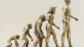 Креацентр Планета Земля: походження рас homo sapiens