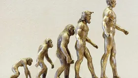 Креацентр Планета Земля: походження рас homo sapiens