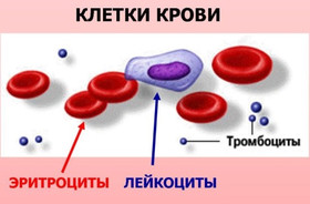 Спосіб, який може уповільнити старість – вчені з’ясували