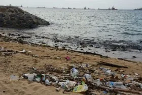 На райському острові утворилися скелі з пластику – екологічна катастрофа