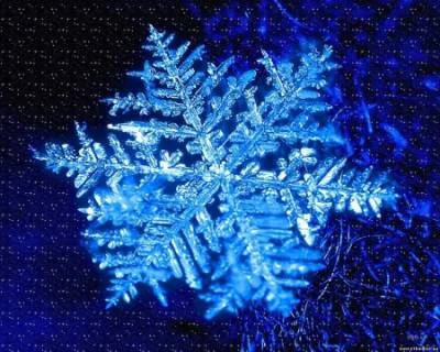 Снежинка гигант и детективное агентство в Запорожье