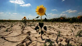 Набуває критичного значення саме для України – питання посухи та опустелювання