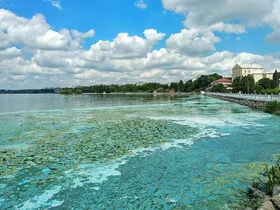 Коли це може бути небезпечним для здоров’я людини – чому водойми “цвітуть” влітку