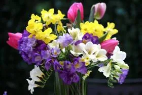 Цветочные композиции от “Bouquet” – лучший подарок, созданный природой