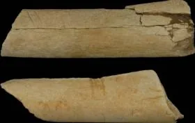 Неандертальские орудия из кости почти не отличались от современных
