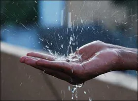 Небезпечні токсини вчені виявили у дощовій воді по всьому світу