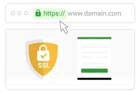 Что такое SSL-сертификат и нужен ли он сайту?