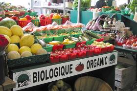 Органические продукты – что это