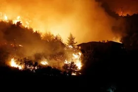Допомогу в ліквідації лісових пожеж запропонувала Португалії Україна