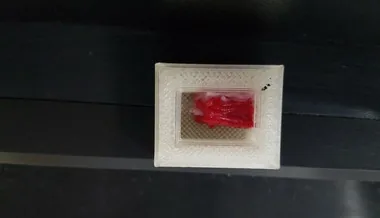 Мармурова яловичина з 3D-принтера: стала відома ціна