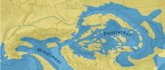 Куди зникла вода з найбільшого моря в історії Землі дізналися вчені