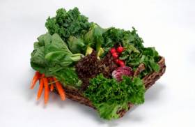 Продукт, способный омолодить мозг на 11 лет