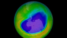 Как человечество может спасти озоновый слой – ученые рассказали
