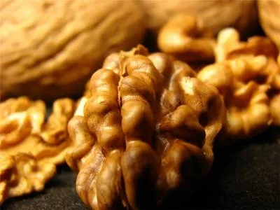 Волоські горіхи покращують якість сперми і репродуктивні можливості чоловіків