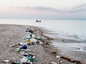 Рекордний рівень забруднення пластиком морської флори і фауни шотландські океанологи констатували