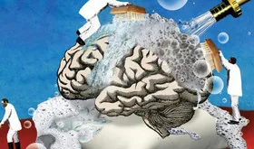 Как мозг регулирует сон – специалисты