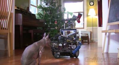 Дарвин и DarwinBot. Видео
