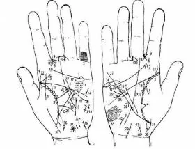 Узнай, то что тебя интересует – покажи свою ладонь на magichand.ru