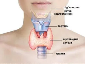 Для запобігання захворювань щитовидної залози – фахівці назвали 6 правил