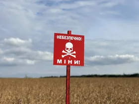 До розмінування України готові долучитись польські сапери