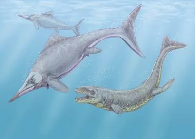 Морские крокодилы – скелет древнего дельфина-убийцы, пролежавший 100 лет