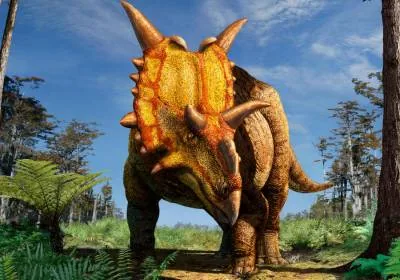 Динозавр Xenoceratops foremostensis