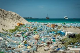 В морі біля Корсики утворився гігантський “острів” з пластикового сміття