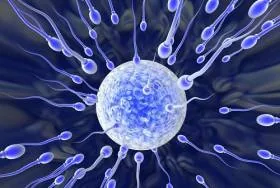 В интересной форме создан биомеханический робот