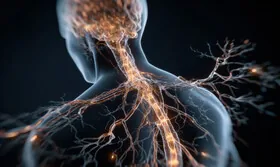 Рекомендації психолога – як відновити нервову систему після виснаження