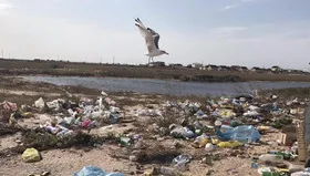 Чорне море вчені збираються врятувати від сміття