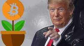 Подкосила биткоин критика Трампа