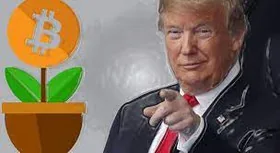 Подкосила биткоин критика Трампа