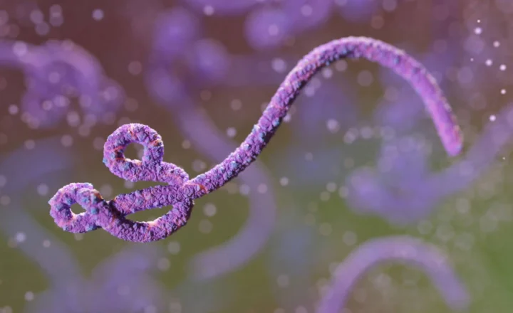 Пацієнта з рідкісним Bundibugyo ebolavirus успішно лікували комбінацією моноклональних антитіл і ремдесивіру