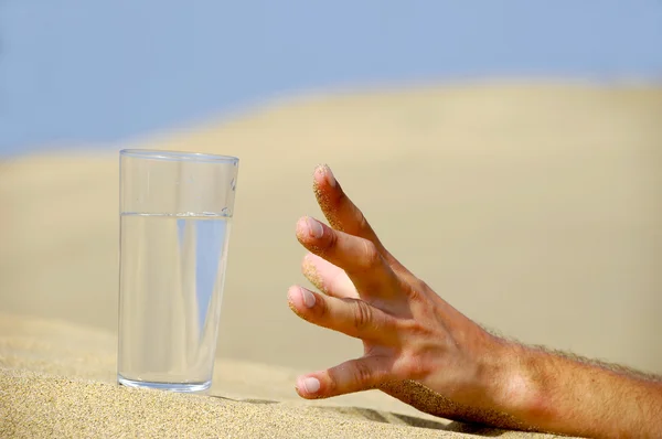 Під час звичайного тренування не потрібно пити «за графіком» літри води: спрага часто є достатнім орієнтиром