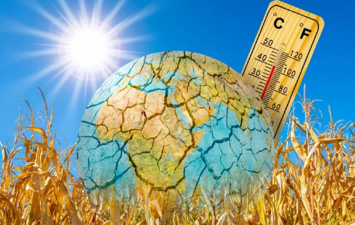 Природні зворотні звʼязки можуть додати до потепління ще 0,2–0,4 °C цього століття