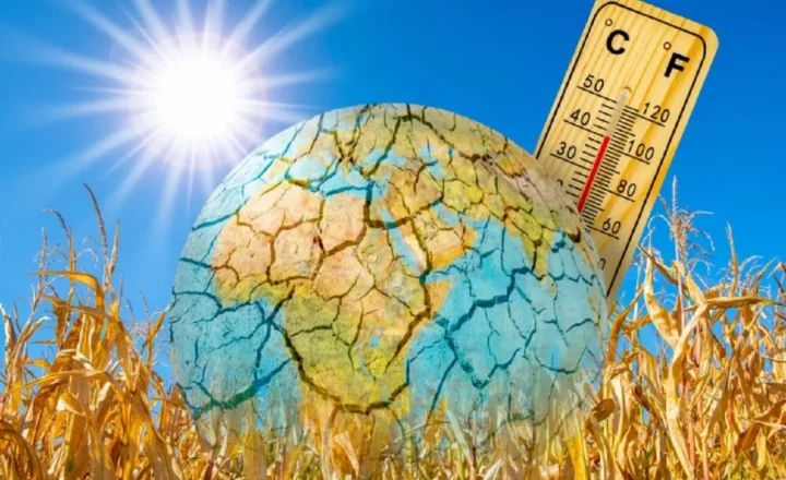 Природні зворотні звʼязки можуть додати до потепління ще 0,2–0,4 °C цього століття